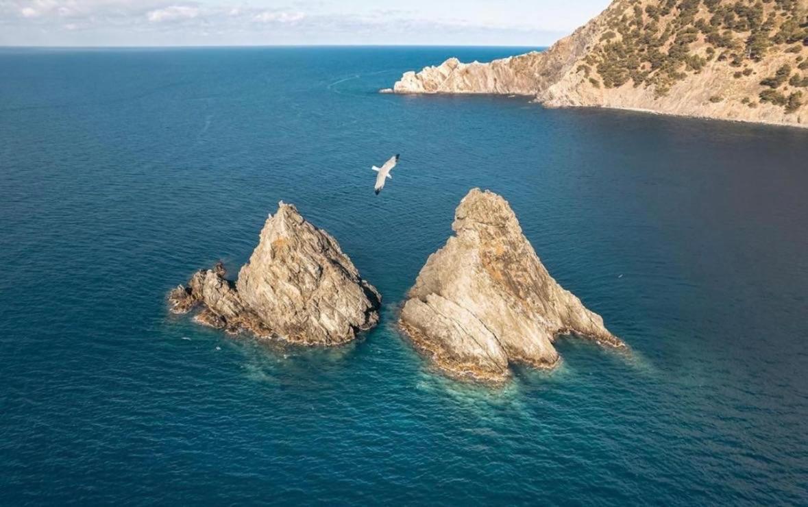 Appartement Pied Dans L'Eau Ла-Сейн-сюр-Мер Экстерьер фото